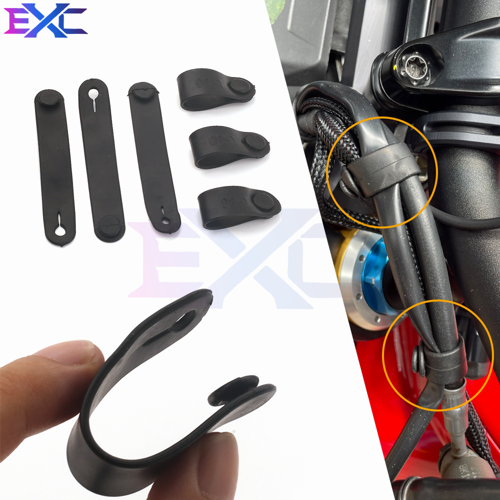 Monstera Adansonii - Per Ducati Monster Multistrada 1200 796