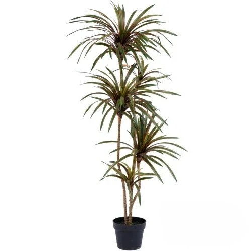 Dracaena Marginata - Albero Artificiale Dracaena Marginata Colorato con