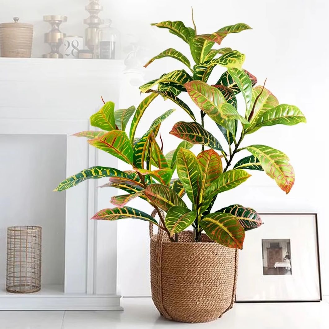 21-120 cm Pianta artificiale F - Dracaena Marginata recensione e prezzo