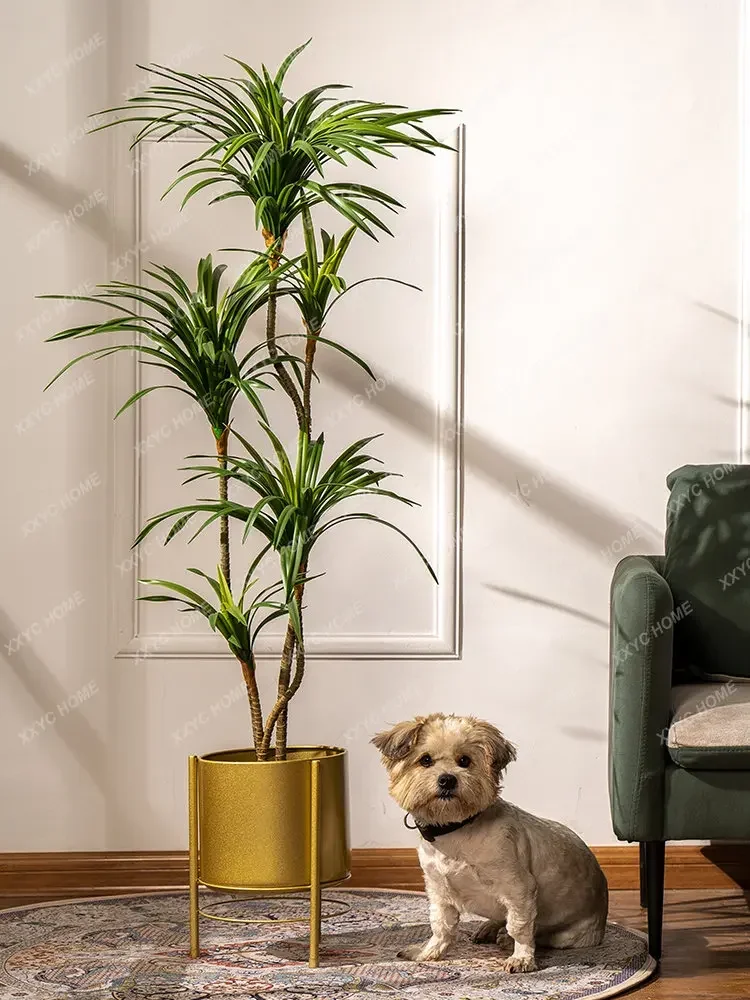 Albero Artificiale Dracaena Ma - Dracaena Marginata recensione e prezzo