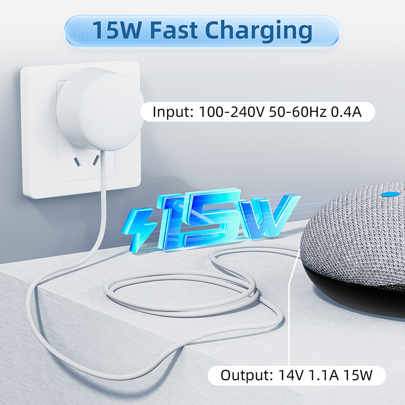 Caricabatterie OEM da 15 W per - Google Speaker Nest Mini recensione e prezzo