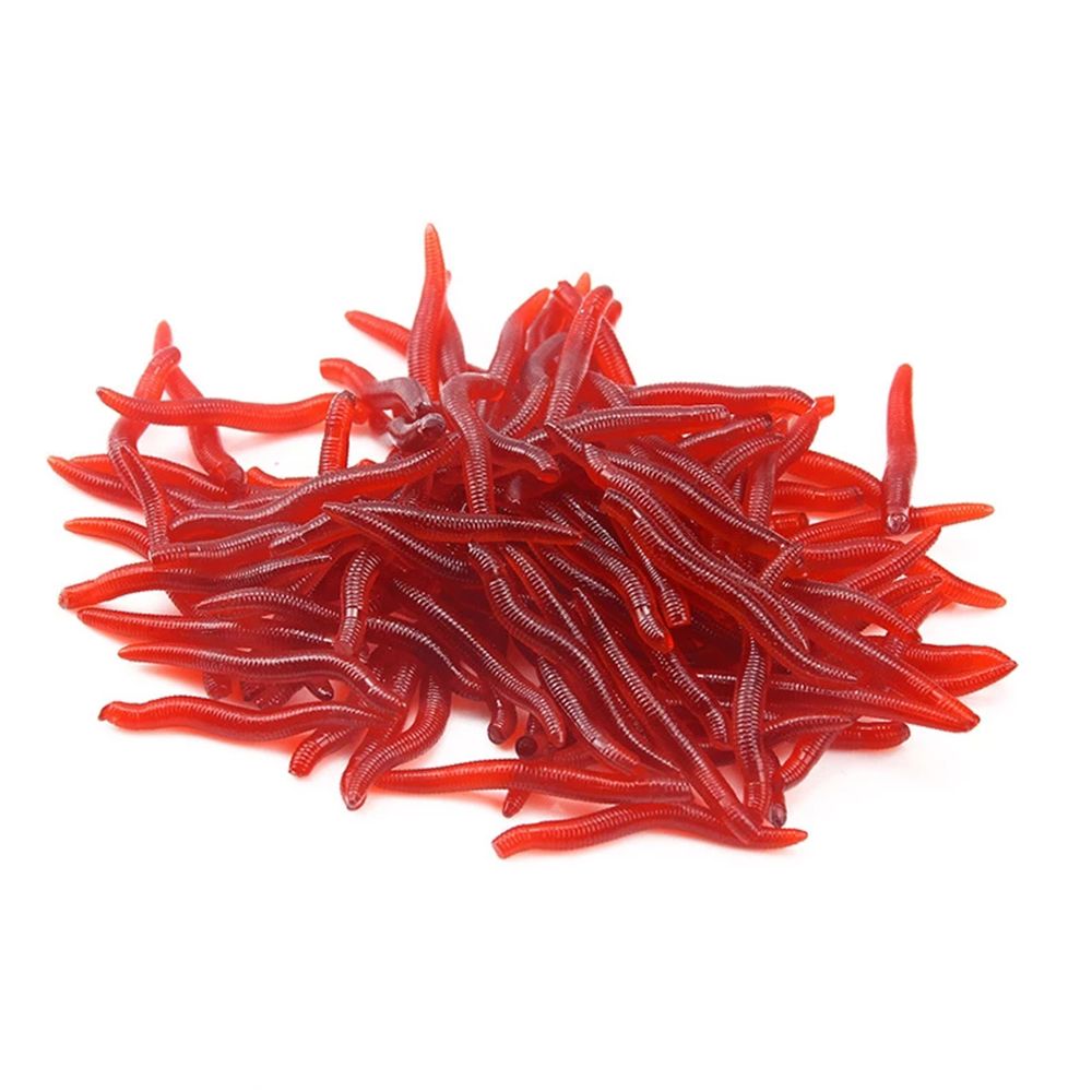 100 pz/bottiglia Realistico Af - Aglaonema Red recensione e prezzo