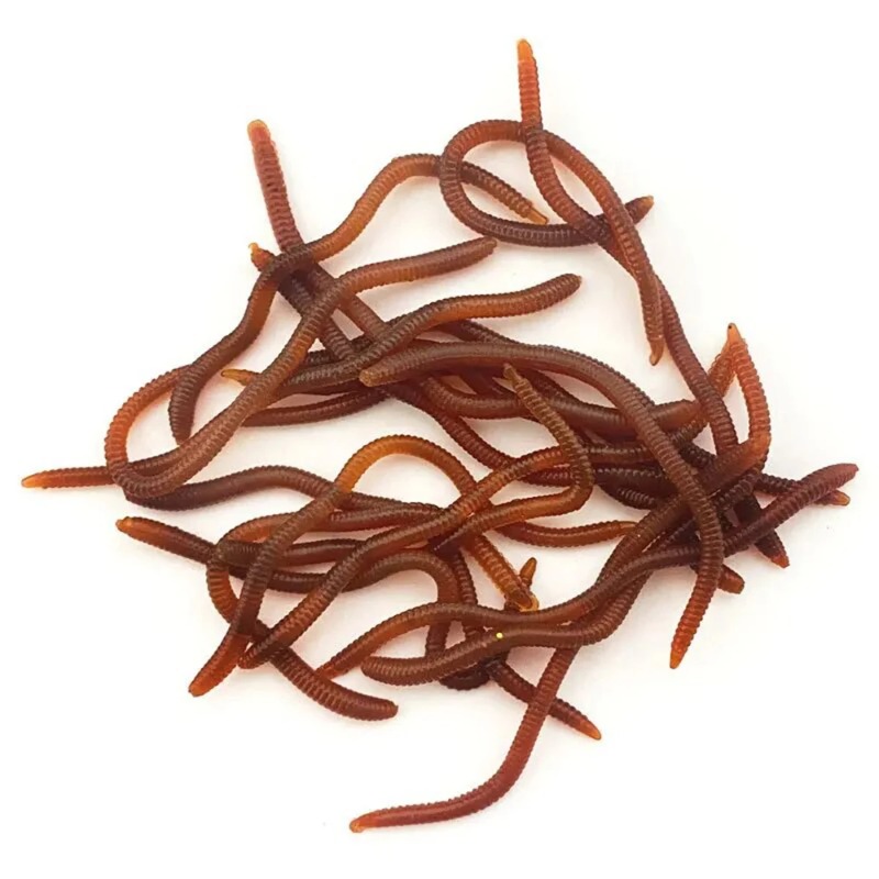 Esche Artificiali Morbide Ross - Aglaonema Red recensione e prezzo