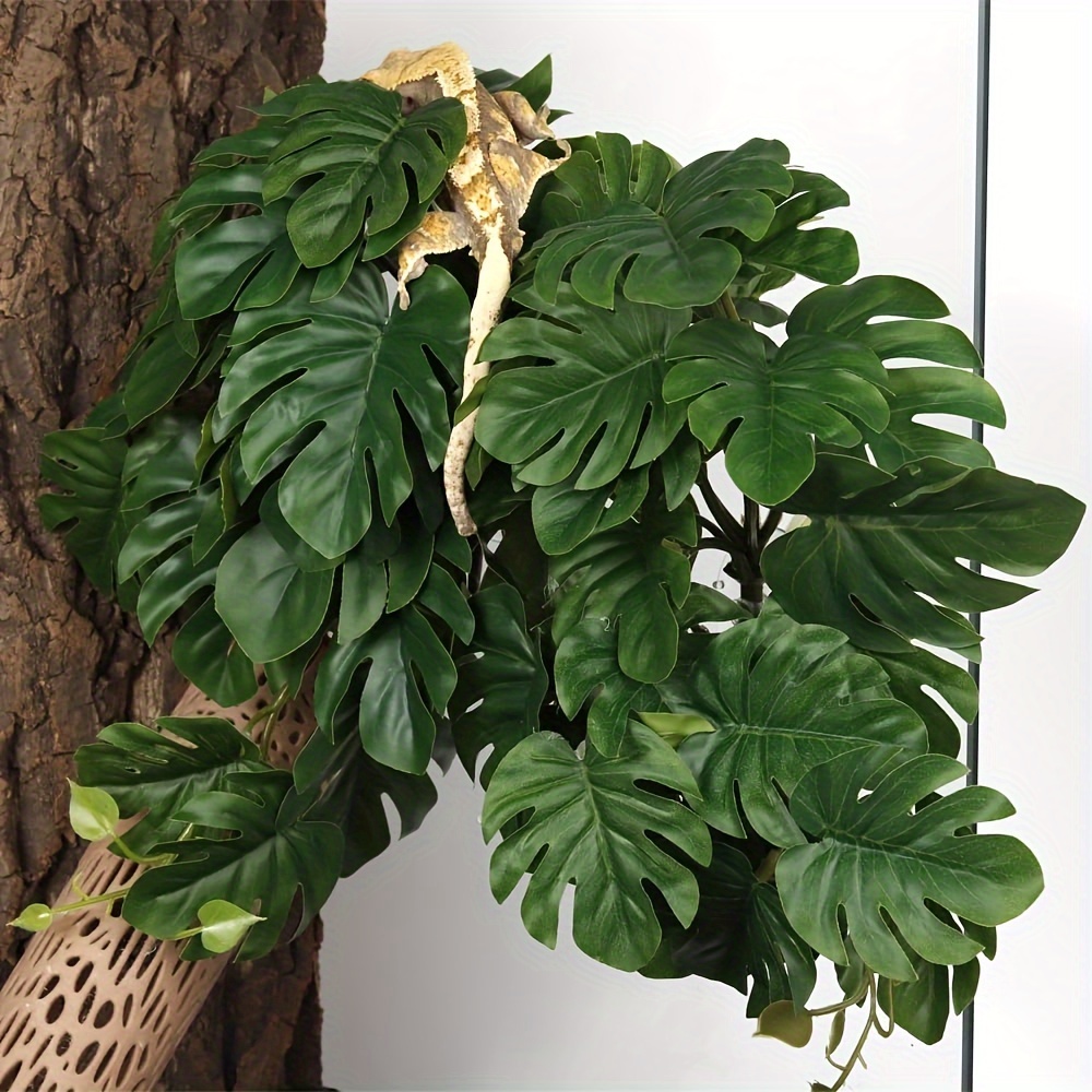 Piante Artificiali per Terrari - Monstera Adansonii recensione e prezzo