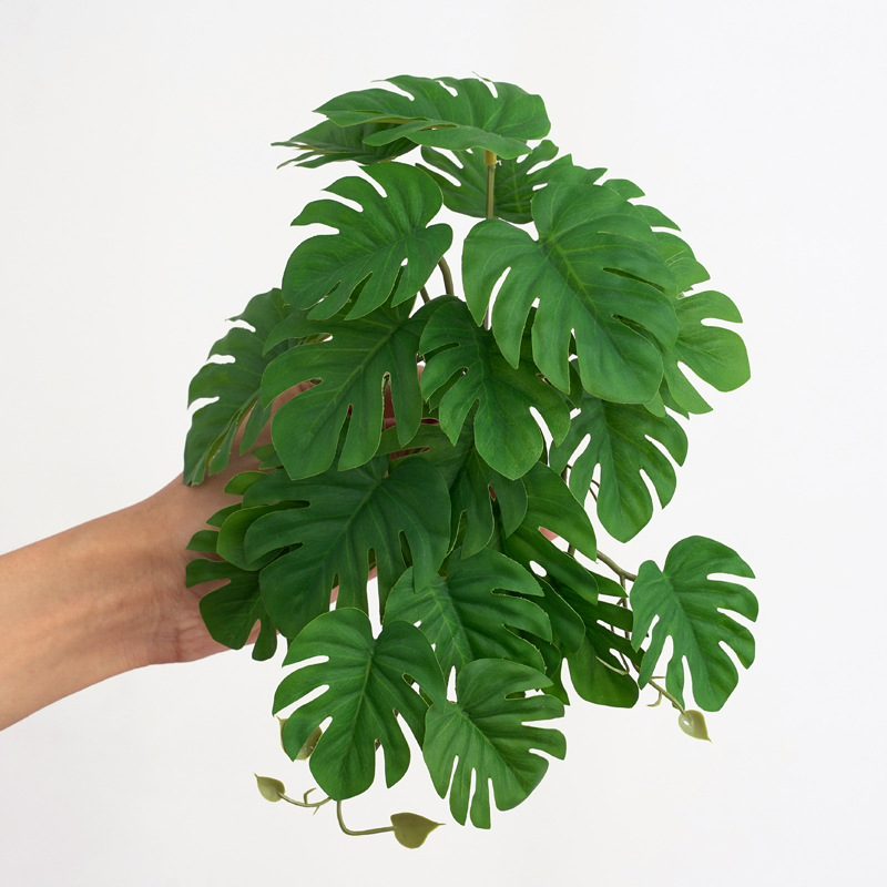 Piante Artificiali per Terrari - Monstera Adansonii recensione e prezzo