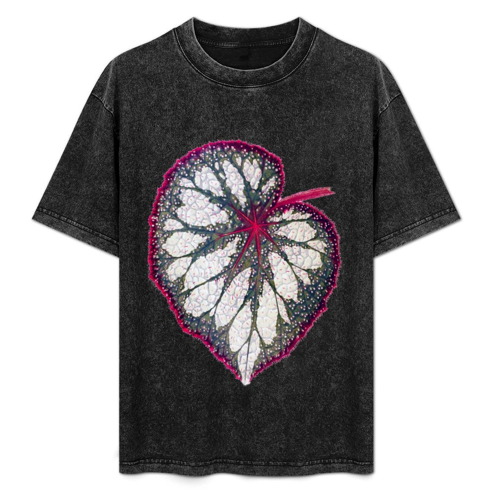 T-shirt Begonia rex, maglietta - Begonia Rex recensione e prezzo