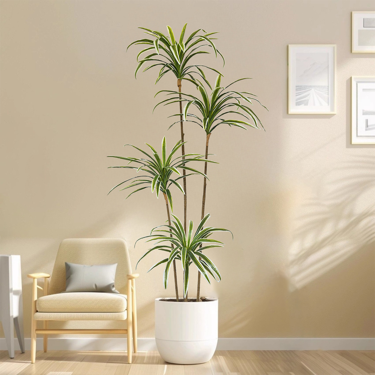 Pianta Artificiale Dracaena Ma - Dracaena Marginata recensione e prezzo